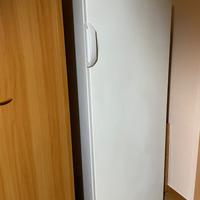 Congelatore verticale