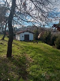 Casetta indipendente agricola nel bosco