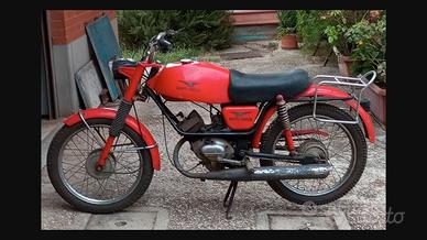 MOTO GUZZI  dingo gt 50cc