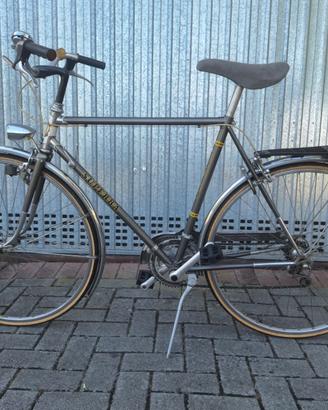 Bicicletta da uomo