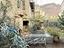 Immagine 21
