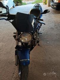 Honda hornet 600
