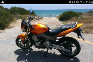 Hornet 600 anno 2005