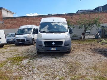Fiat DUCATO 2.2 GASOLIO 100 CV TETTO ALTO MOD. MAX