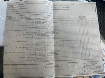 Cane di San Bernardo