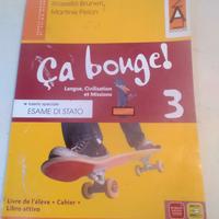Bruneri, R.; Pelon, M. " Ca bouge! 3" Lang Pearson