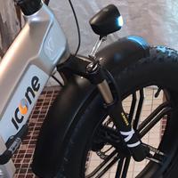 Bici elettrice