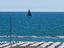 Immagine 21
