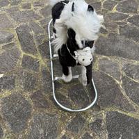Cavalluccio a dondolo