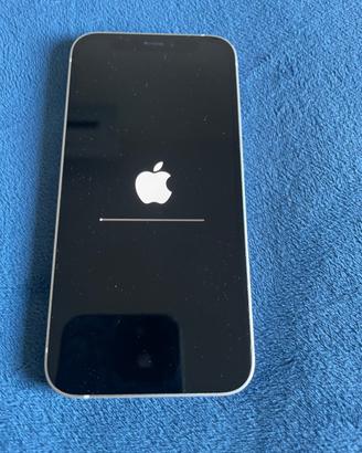 iPhone 12 mini