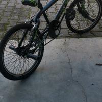BMX Novara