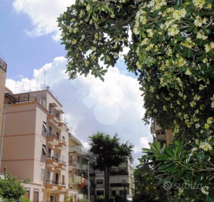 3 LOCALI A ROMA