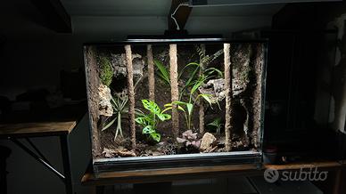 Terrario