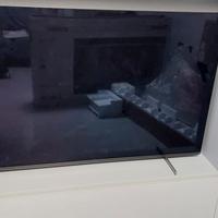 Tv Oled 55" *da riparare