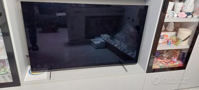 Tv Oled 55" *da riparare