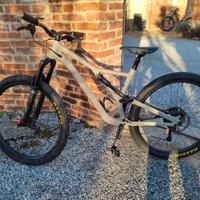 Specialized Stumpjumper 29