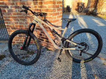 Specialized Stumpjumper 29