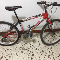 Biciclette marca Lombardo