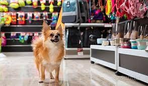 Attività commerciale