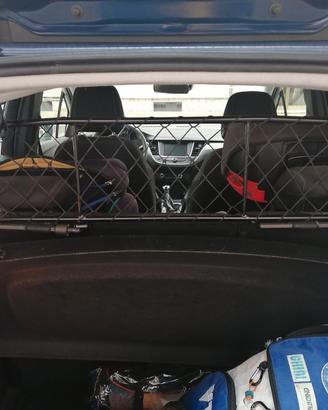 Griglia divisoria per cani