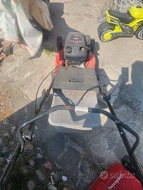 tagliaerba taglia erba 