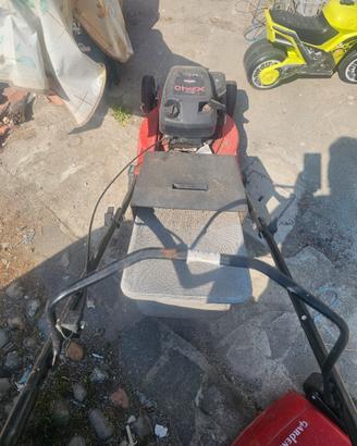 tagliaerba taglia erba 
