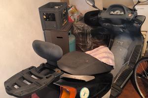 honda foresight 250