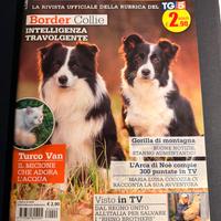 Rivista L’Arca di Noè (TG5) - Border Collie