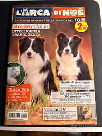 Rivista L’Arca di Noè (TG5) - Border Collie