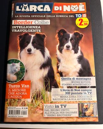 Rivista L’Arca di Noè (TG5) - Border Collie