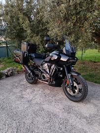 Harley Davidson Pan America