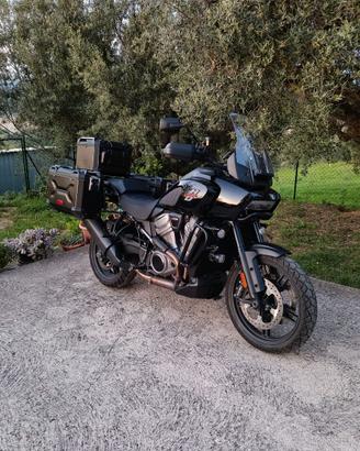 Harley Davidson Pan America