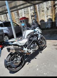 Benelli trk 502x nuova 