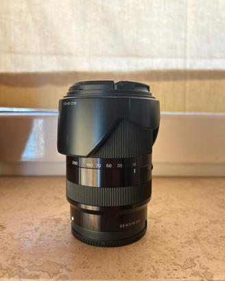 Sony 18-200