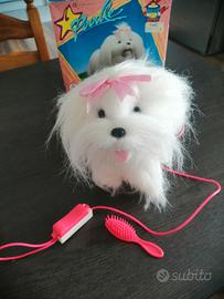 poodle cane filoguidato 