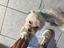 Immagine 4
