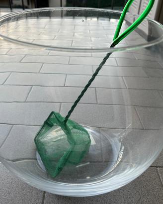 Boccia per pesci/vaso per decorazioni