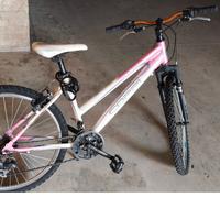 Mountain bike 