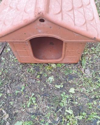 Cuccia Per Cani