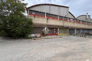 LABORATORIO A TERRANUOVA BRACCIOLINI