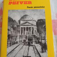 Libro Sale e peiver di Nino Costa