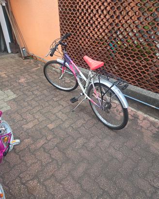 mtb da donna