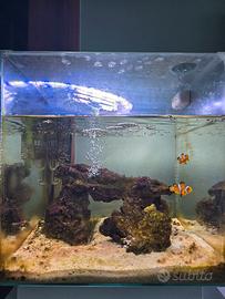 acquario marino newa 45 litri