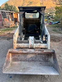 Bobcat