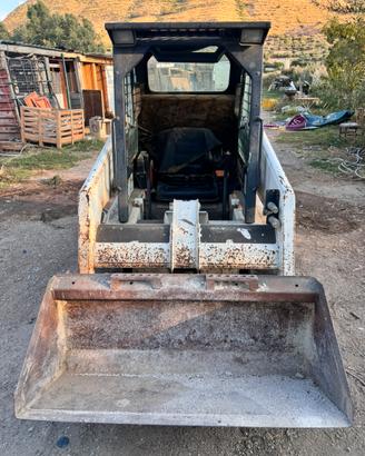Bobcat