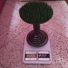 Bilancia per rapaci nuova