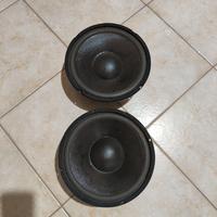 Coppia altoparlanti 100 w 8 ohm diametro 25 cm