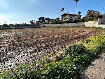 Terreno San Cataldo
