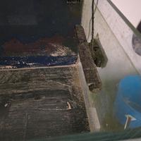 acquario marino