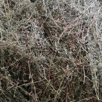 Ballette di fieno ed erba medica 